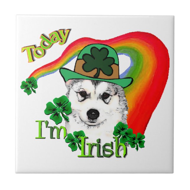 Alaskan Malamute St. Patrick's Day Fliese (Vorderseite)