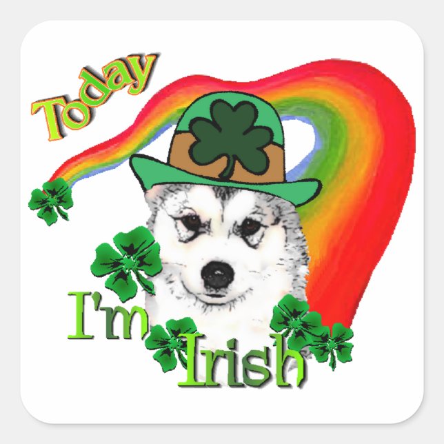 Alaskan Malamute St. Patrick's Day Quadratischer Aufkleber (Vorderseite)