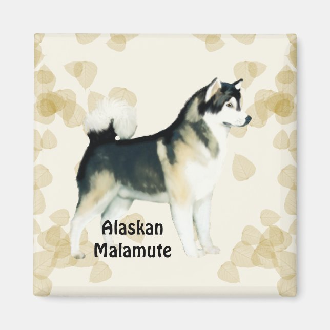 Alaskan Malamute ~ Tan Blätter Motiff Magnet (Vorne)