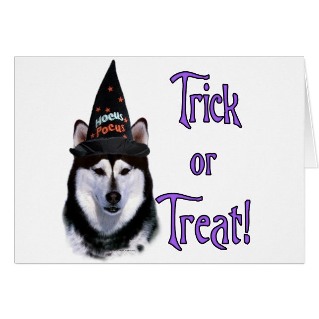 Alaskan Malamute Trick (Vorderseite (Horizontal))