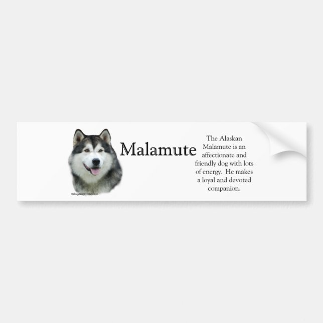 Alaskan Malamute Trivia Autoaufkleber (Vorne)