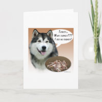 Alaskan Malamute Türkei