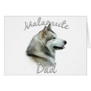 Alaskan Malamute Vater 2