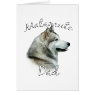 Alaskan Malamute Vater 2