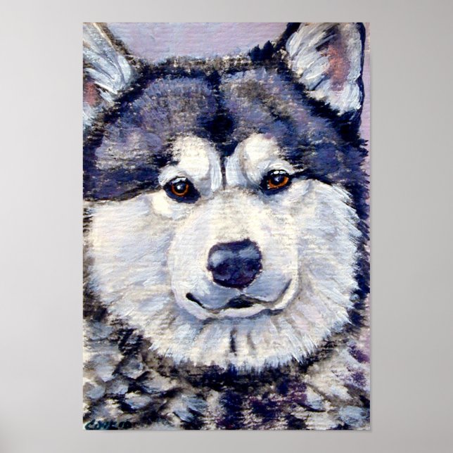 Alaskan Malamute Wall Print Poster (Vorne)