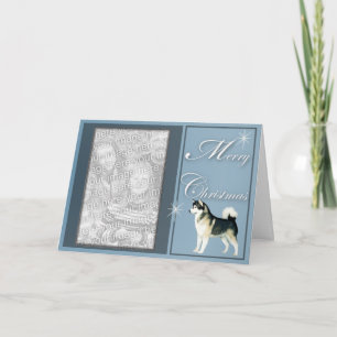 Alaskan Malamute Weihnachten Fügen Sie Ihr Foto hi