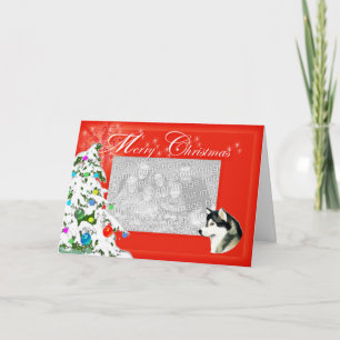 Alaskan Malamute Weihnachts-Fotokarte Feiertagskarte