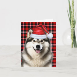 Alaskan Malamute Weihnachtsfeiertag Kariert Feiertagskarte