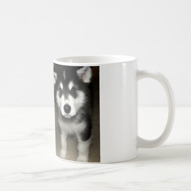 Alaskan malamute Welpe 3 Tasse (Rechts)