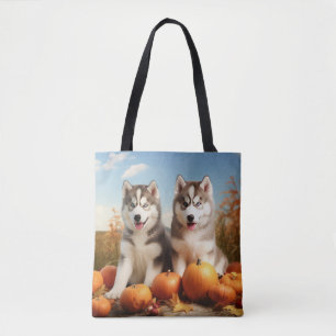 Alaskan Malamute Welpe Herbstfreude Kürbis