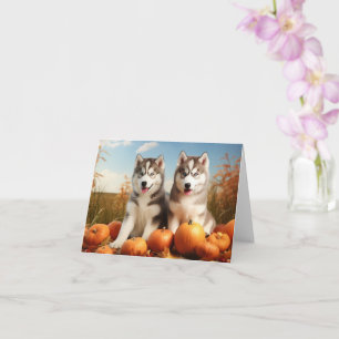 Alaskan Malamute Welpe Herbstvergnügen Kürbis Karte