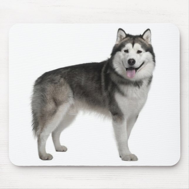 Alaskan Malamute Welpe Hund Mousepad (Vorne)