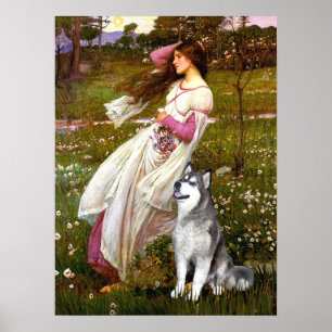 Alaskan Malamute - Windblumen Poster