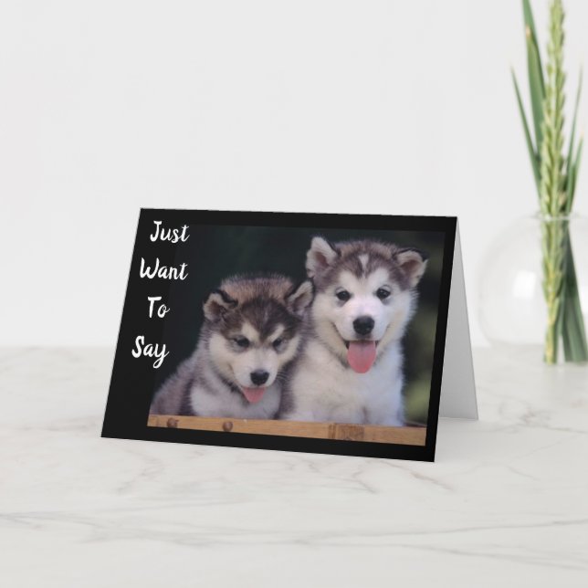 "ALASKAN MALAMUTES BIRTHTAY WISHHHES" KARTE (Vorderseite)