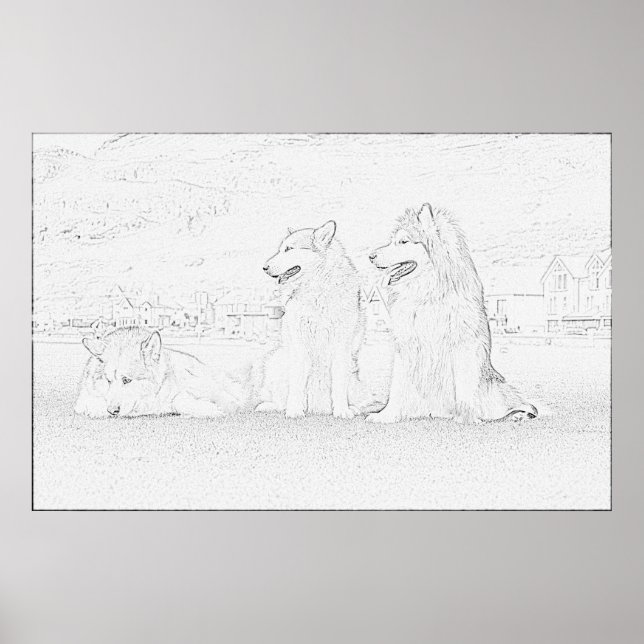 Alaskan Malamutes Poster (Vorne)
