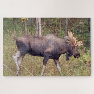 Alaskan Moose w/Antlers Foto Designed Puzzle