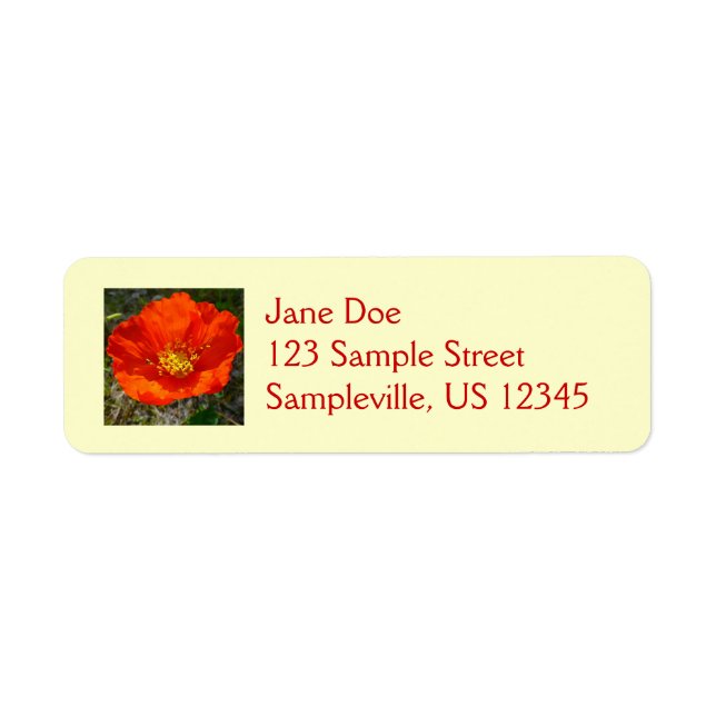 Alaskan Red Poppy Colorful Blume (Vorne)