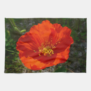 Alaskan Red Poppy Colorful Blume Handtuch