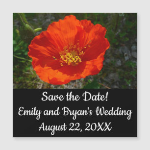 Alaskan Red Poppy Colorful Blume Magnetkarte