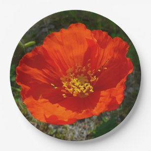 Alaskan Red Poppy Colorful Blume Pappteller