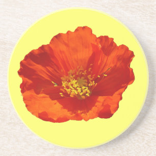 Alaskan Red Poppy Colorful Blume Untersetzer