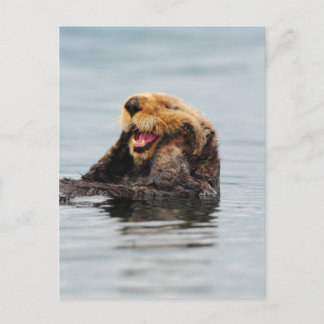 Alaskan Sea Otter Postkarte