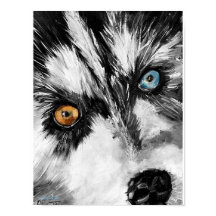 Alaskan Sled Dog "Lasse Run" Print