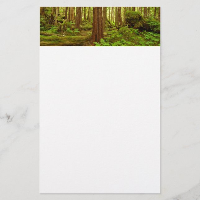 Alaskan Temperate Rainforest Briefpapier (Vorderseite)
