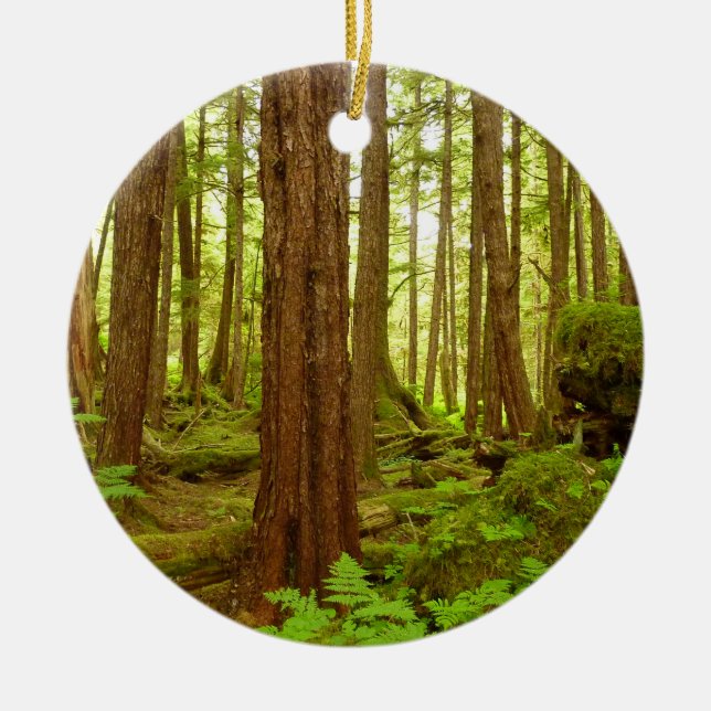 Alaskan Temperate Rainforest Keramik Ornament (Vorne)