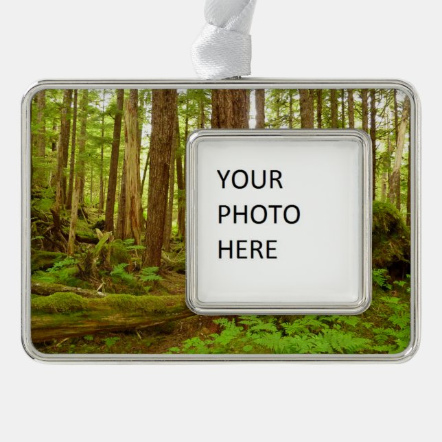 Alaskan Temperate Rainforest Rahmen-Ornament Silber (Vorderseite)