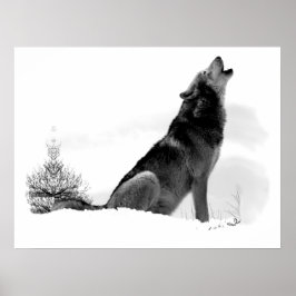 Alaskan Timber Wolf Poster