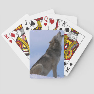Alaskan Timber Wolf Spielkarten
