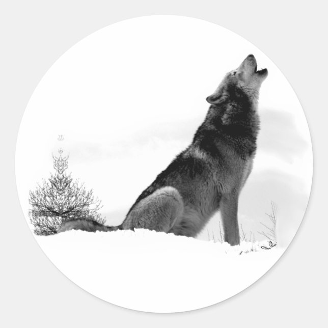 Alaskan Timber Wolf Sticker (Vorderseite)