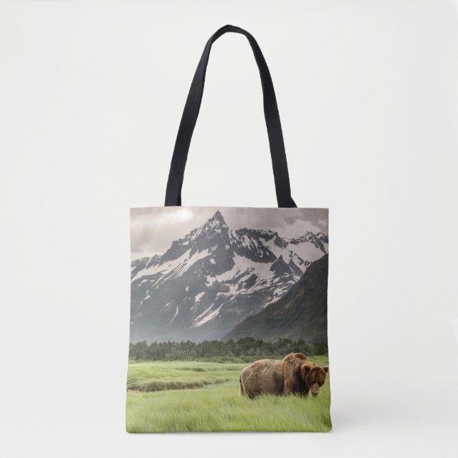 Alaskan Ufer, Grizzlybär (Vorderseite)