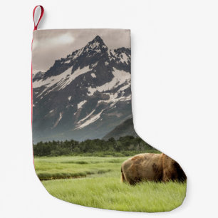 Alaskan Ufer, Grizzlybär Kleiner Weihnachtsstrumpf