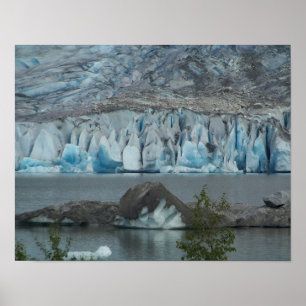 Alaskan Wilderness Poster Print