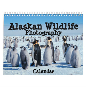 Alaskan Wildlife Calendar Kalender