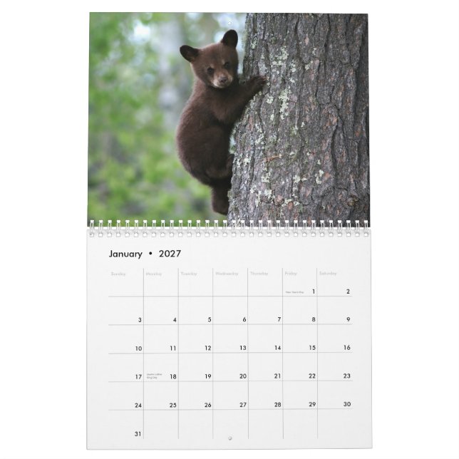 Alaskan Wildlife Calendar Kalender (Jan 2027)
