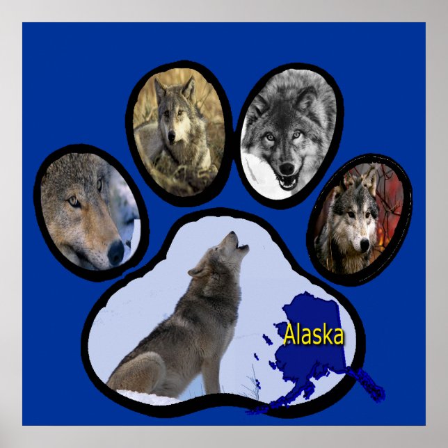 Alaskan Wolf Paw Print Poster (Vorne)