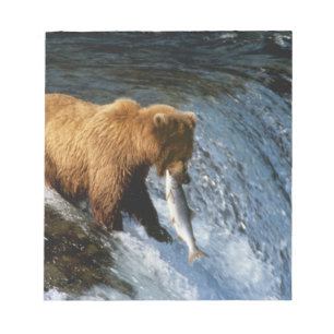 Alaskanischer Braunbär fängt Lachs bei Brooks Notizblock