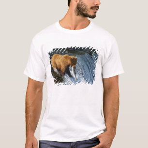 Alaskanischer Braunbär fängt Lachs bei Brooks T-Shirt