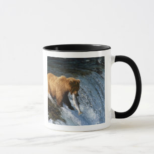 Alaskanischer Braunbär fängt Lachs bei Brooks Tasse