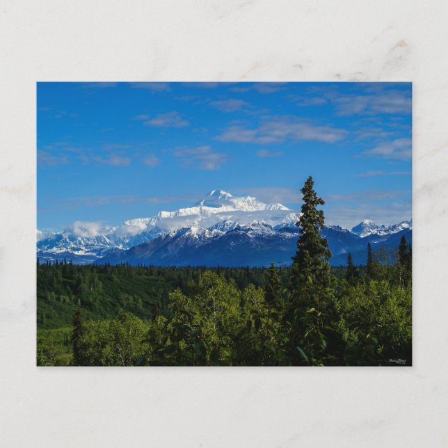 Alaska's Mt. McKinley Postkarte (Vorderseite)