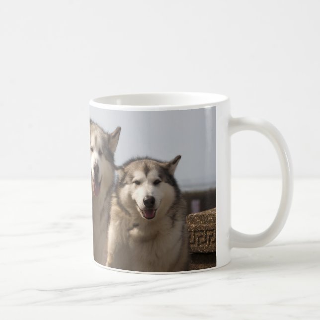 Alaskische Malamutes Tasse (Rechts)
