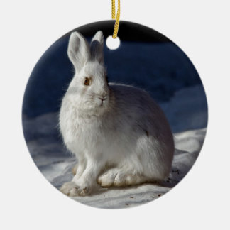 Alaskische Snowshoe-Hasen Keramik Ornament