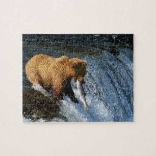 Alaskischer Braunbär fängt Lachs bei Brooks Puzzle