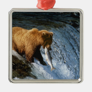 Alaskischer Braunbär fängt Lachs bei Brooks Silbernes Ornament