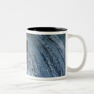 Alaskischer Braunbär fängt Lachs bei Brooks Zweifarbige Tasse