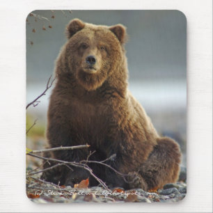 Alaskischer Braunbär in Kenai NWR Mousepad