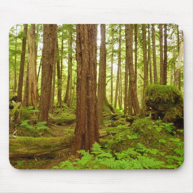 Alaskischer gemäßligter Regenwald Mousepad (Vorne)